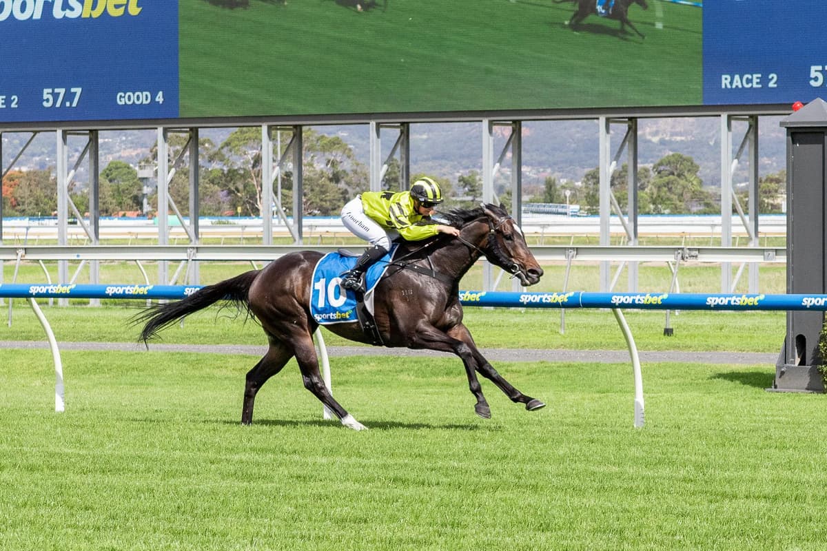 So Polite breaks her maiden!