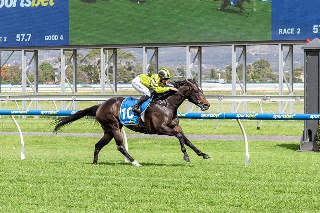 So Polite breaks her maiden!