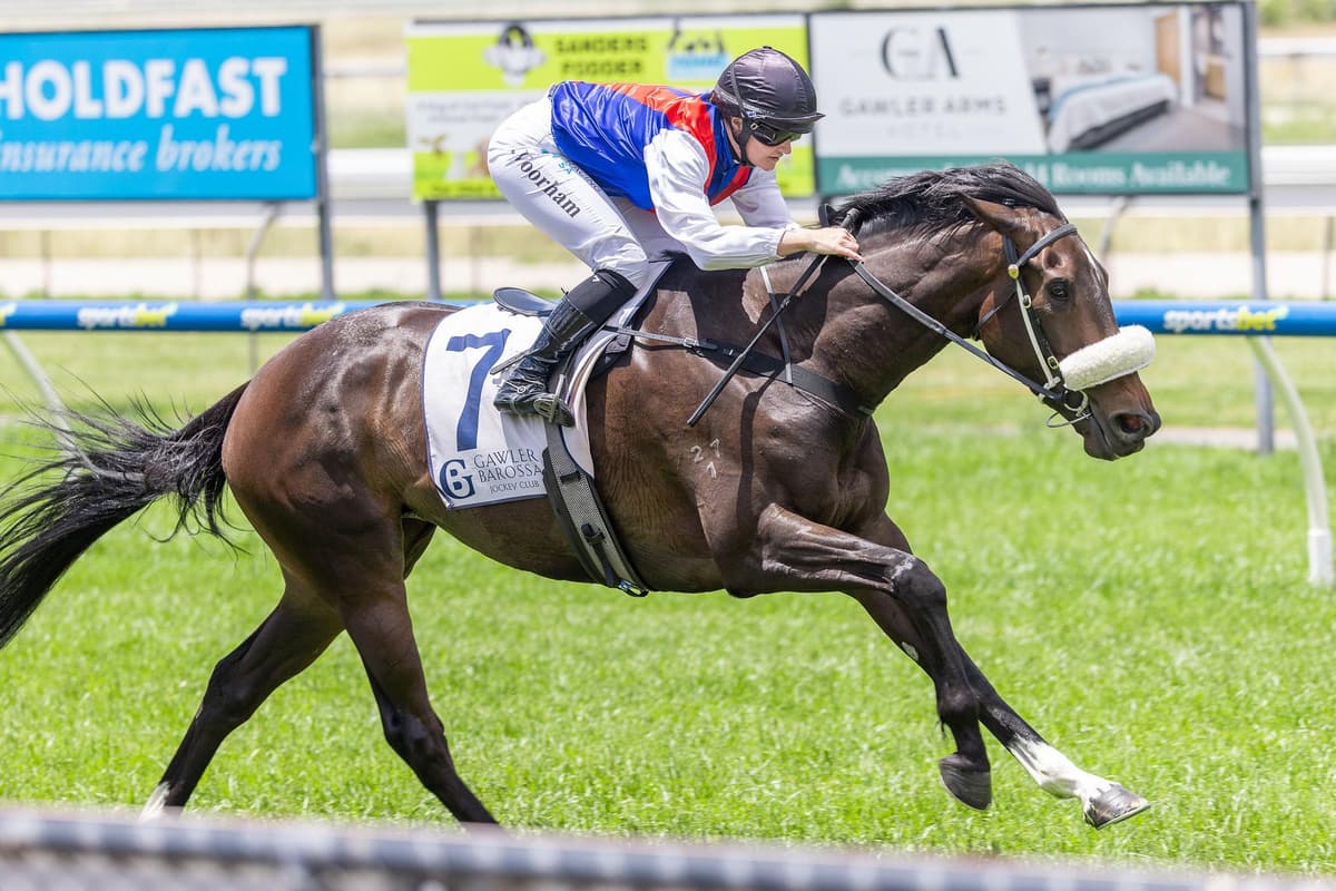 Fiora Blue wins first up.